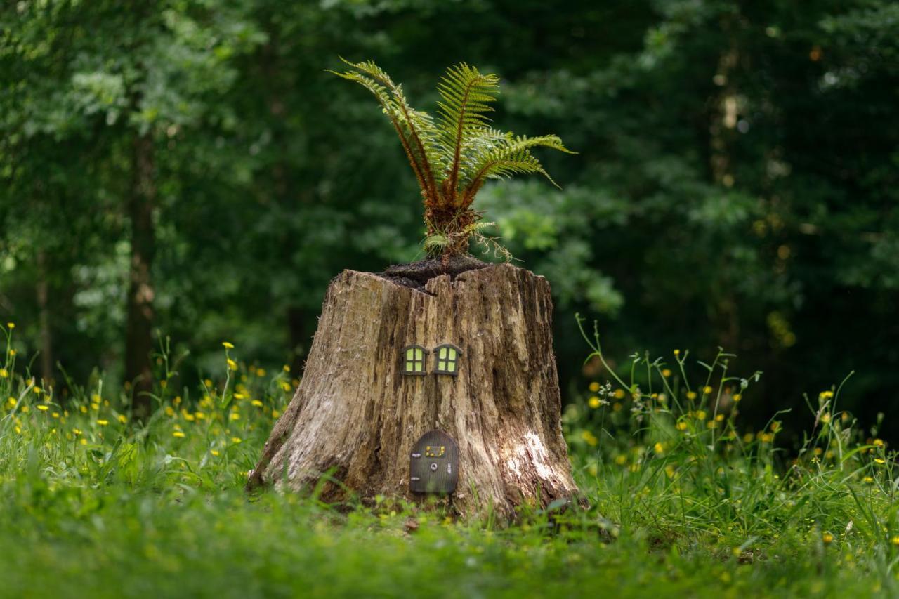 Finca La Peniga Mazcuerras Exteriör bild