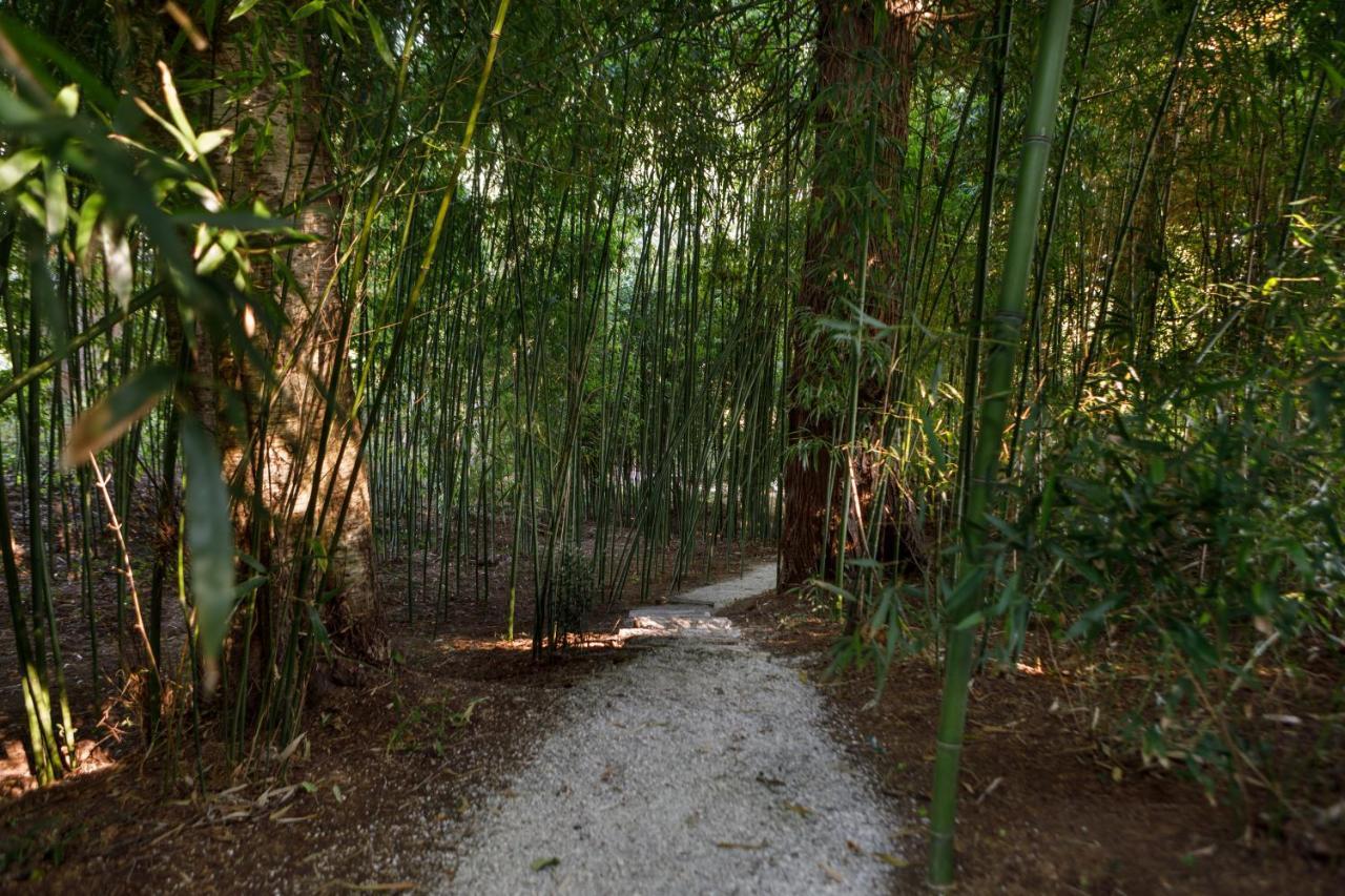 Finca La Peniga Mazcuerras Exteriör bild