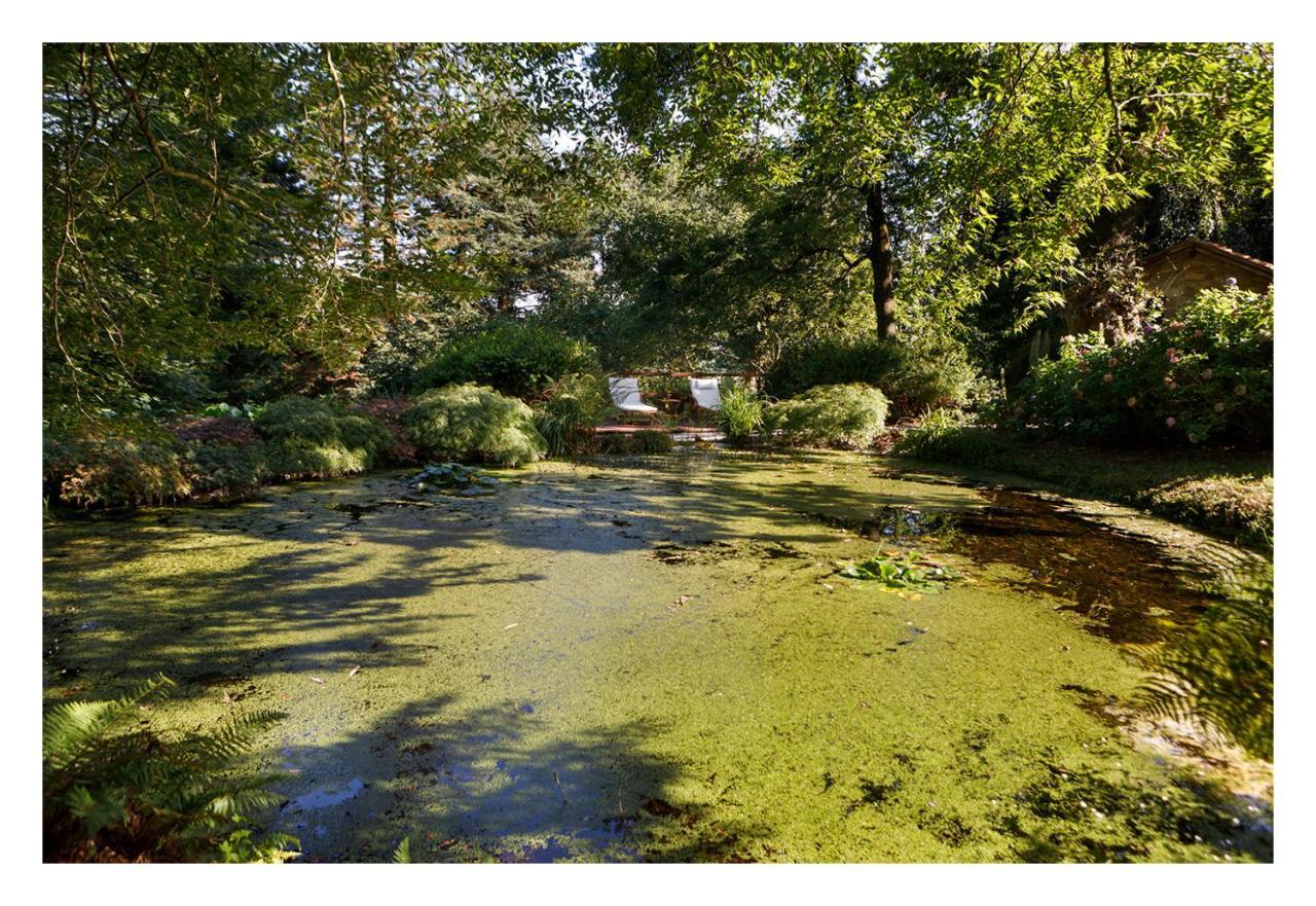 Finca La Peniga Mazcuerras Exteriör bild