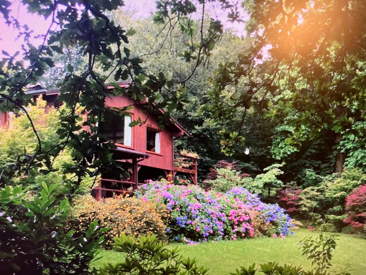 Finca La Peniga Mazcuerras Exteriör bild